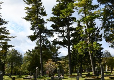 Kovářská, Omnium, 2020