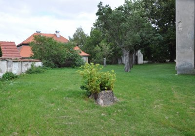 Libědice, Omnium, 2020