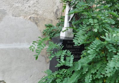 Libědice, Omnium, 2020