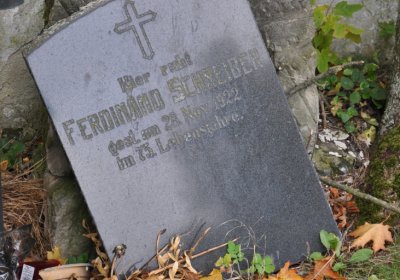 Libědice, Omnium, 2020