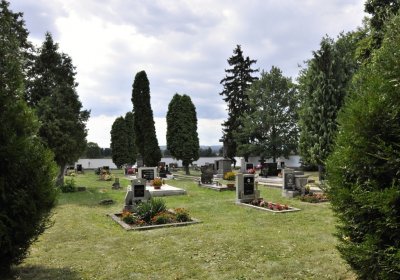 Sedláček Hugo, 2016