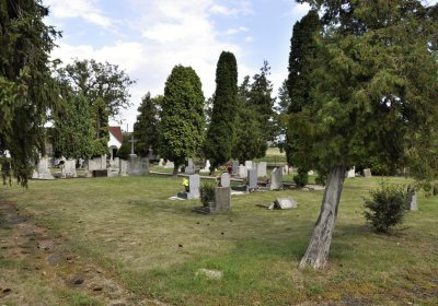 Sedláček Hugo, 2016