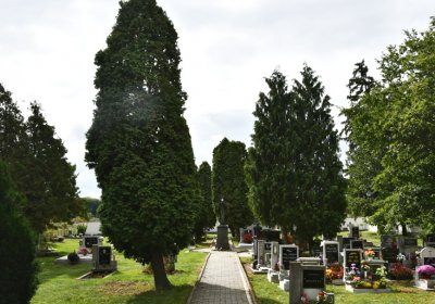 Pětipsy, Omnium, 2020