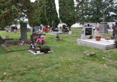 Pětipsy, Omnium, 2020