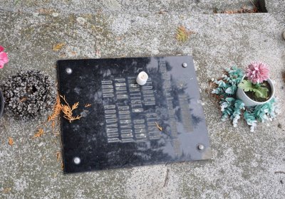 Pětipsy, Omnium, 2020