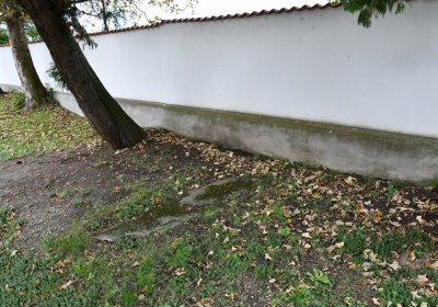 Pětipsy, Omnium, 2020