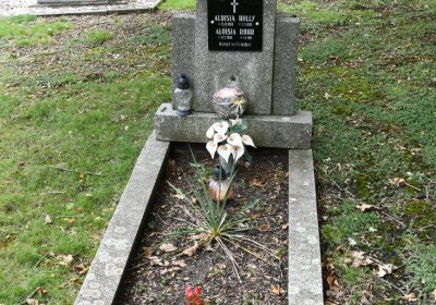 Pětipsy, Omnium, 2020