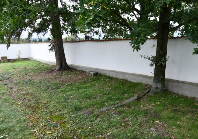 Pětipsy, Omnium, 2020