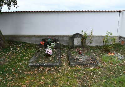 Pětipsy, Omnium, 2020