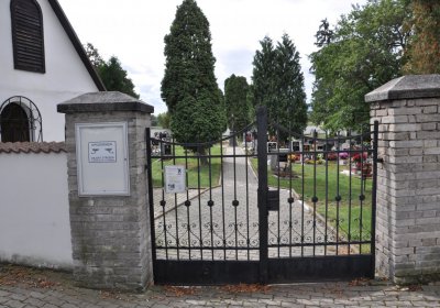 Pětipsy, Omnium, 2020