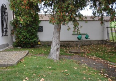 Pětipsy, Omnium, 2020