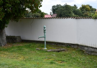 Pětipsy, Omnium, 2020