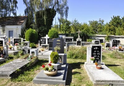 Sedláček Hugo, 2016