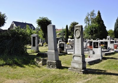 Sedláček Hugo, 2016