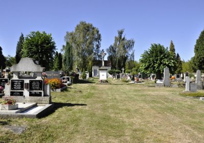 Sedláček Hugo, 2016