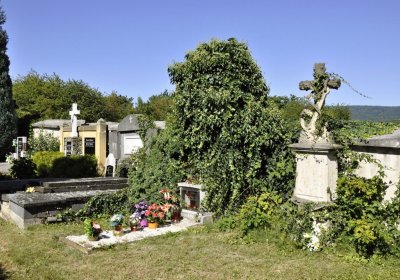 Sedláček Hugo, 2016