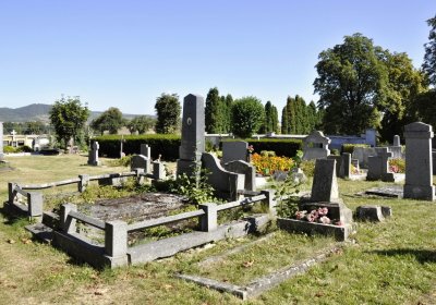 Sedláček Hugo, 2016