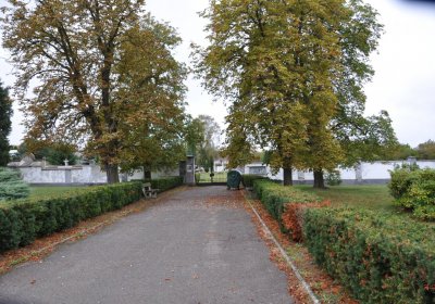 Radonice, Omnium, 2020