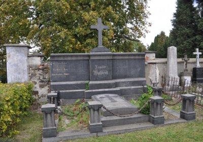 Radonice, Omnium, 2020