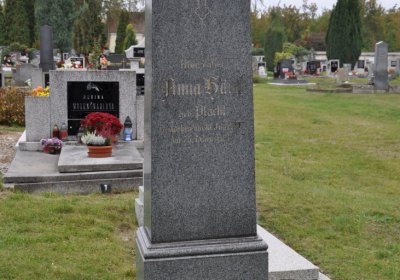 Radonice, Omnium, 2020