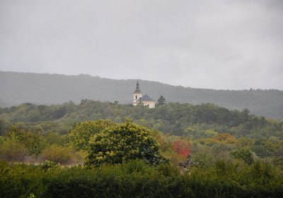 Radonice, Omnium, 2020