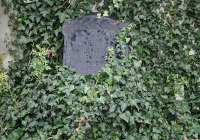 Radonice, Omnium, 2020