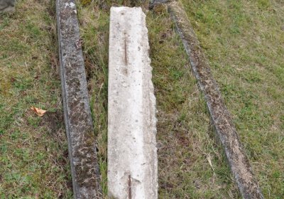 Radonice, Omnium, 2020