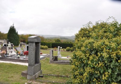 Radonice, Omnium, 2020