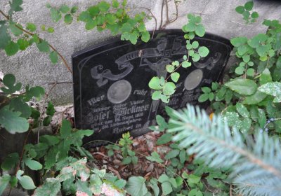 Radonice, Omnium, 2020