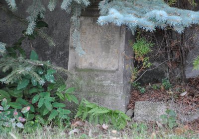 Radonice, Omnium, 2020