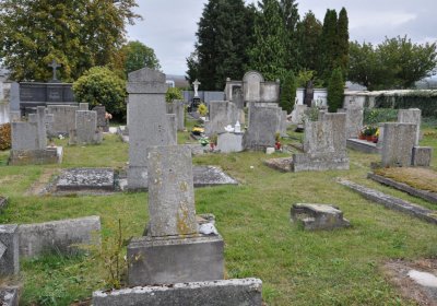 Radonice, Omnium, 2020