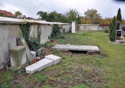 Radonice, Omnium, 2020