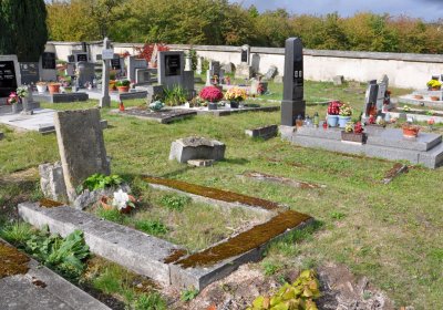 Radonice, Omnium, 2020