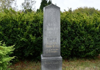 Radonice, Omnium, 2020