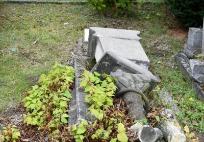 Radonice, Omnium, 2020