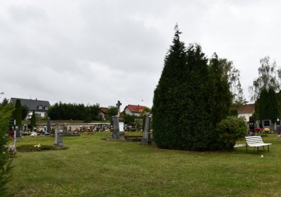 Radonice, Omnium, 2020