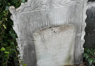 Radonice, Omnium, 2020