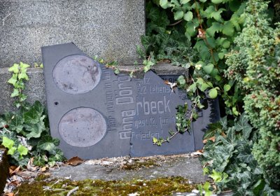 Radonice, Omnium, 2020