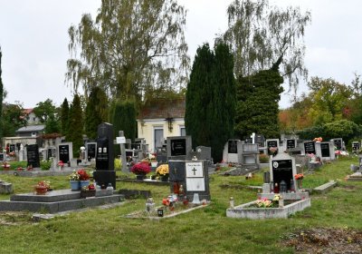 Radonice, Omnium, 2020