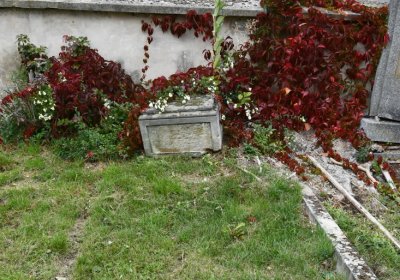 Radonice, Omnium, 2020