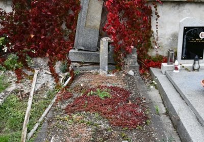 Radonice, Omnium, 2020