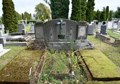 Radonice, Omnium, 2020