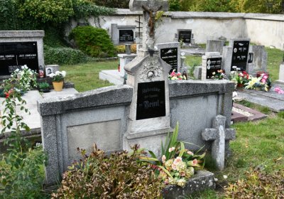 Radonice, Omnium, 2020