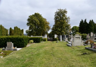 Radonice, Omnium, 2020