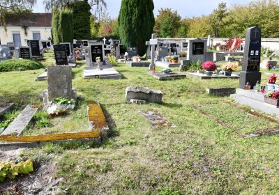 Radonice, Omnium, 2020