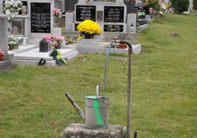 Radonice, Omnium, 2020