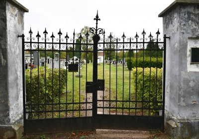 Radonice, Omnium, 2020