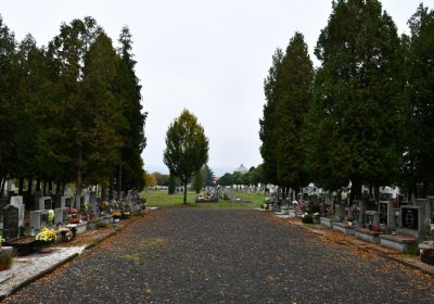 Jirkov, Omnium, 2020