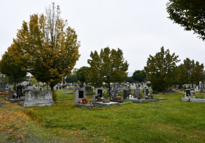 Jirkov, Omnium, 2020