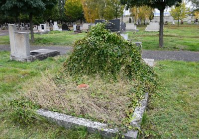 Jirkov, Omnium, 2020